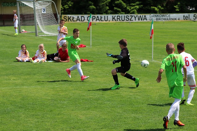 pg电子模拟器-专业游戏模拟平台-pg模拟器在线试玩